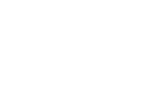 DSF Corporate Member Django Bronze
